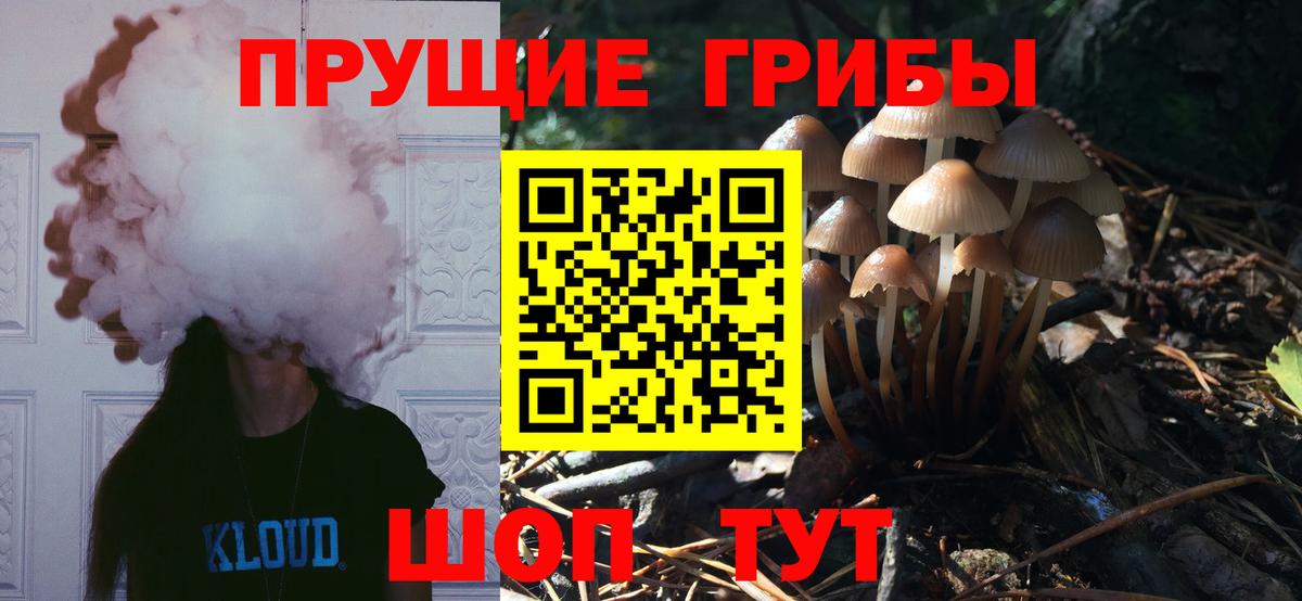Псилоцибиновые грибы мухоморы Лосино-Петровский